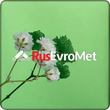 Декоративная нержавеющая сталь  Mirror Green